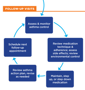 Follow up asthma visit flow including assess and monitor, review medication, make medication changes, review action plan, schedule next appointment