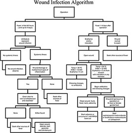 Wound Infection Algorithm